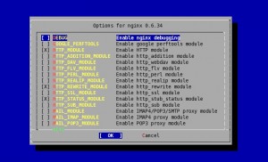 nginx